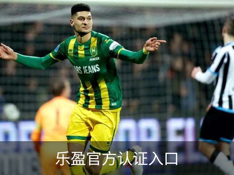 乐盈官方认证入口介绍
